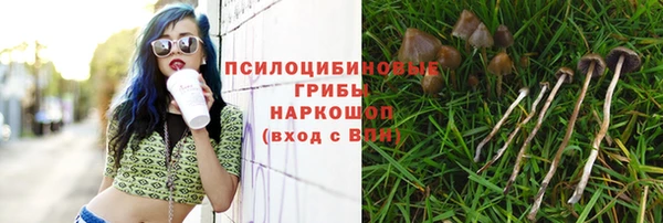 прущие крисы Алексеевка