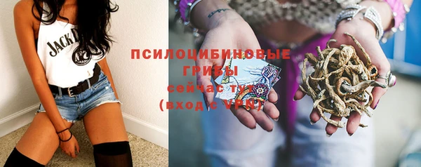 прущие крисы Алексеевка