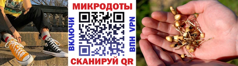 Псилоцибиновые грибы GOLDEN TEACHER  Калач-на-Дону 